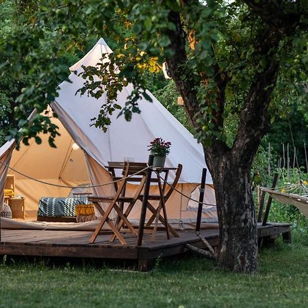 Hotel Dragonfly Gardens Urban Glamping Braszów Zewnętrze zdjęcie