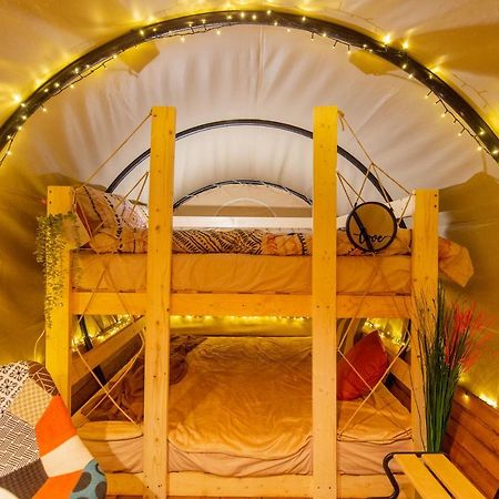 Hotel Dragonfly Gardens Urban Glamping Braszów Zewnętrze zdjęcie