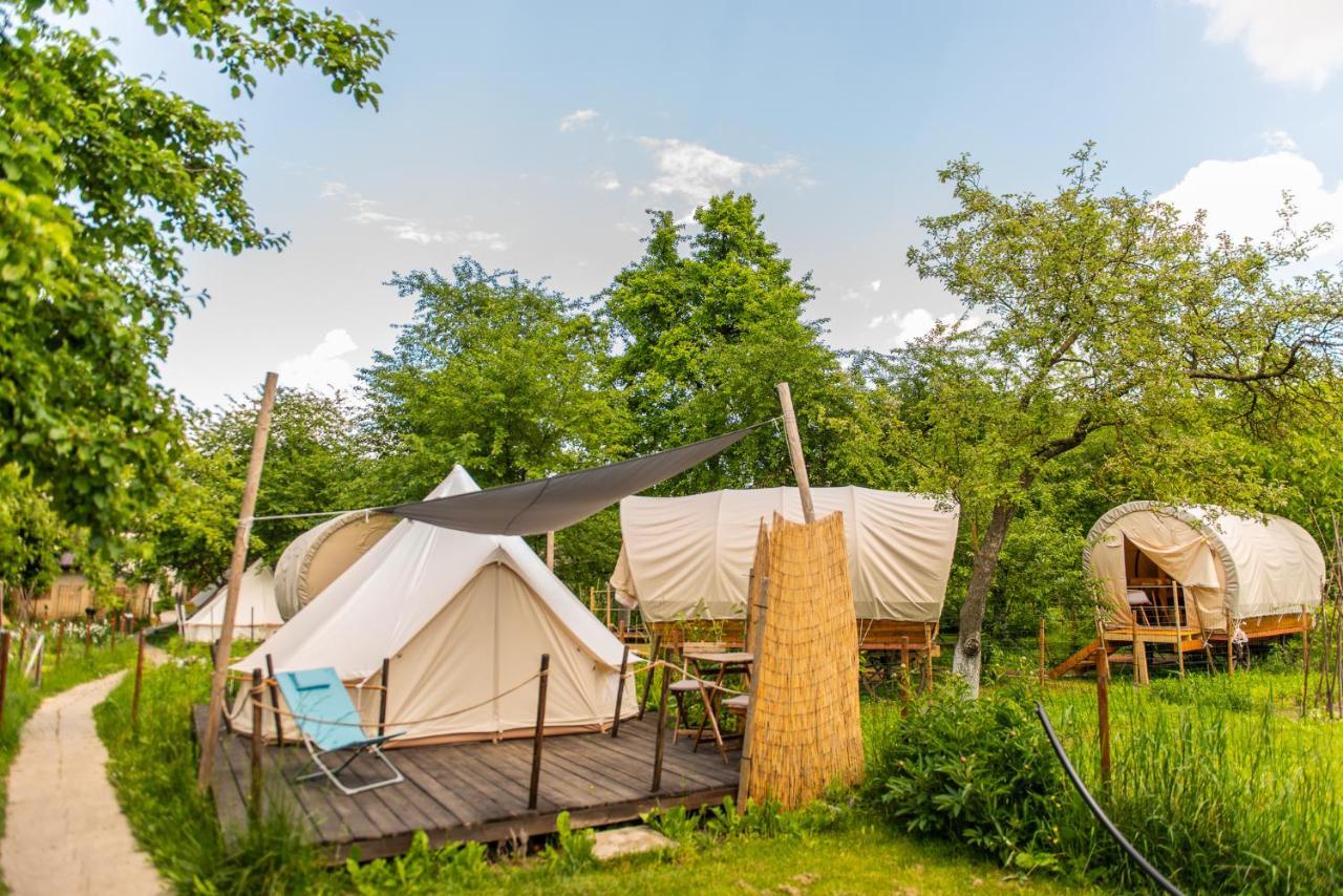 Hotel Dragonfly Gardens Urban Glamping Braszów Zewnętrze zdjęcie