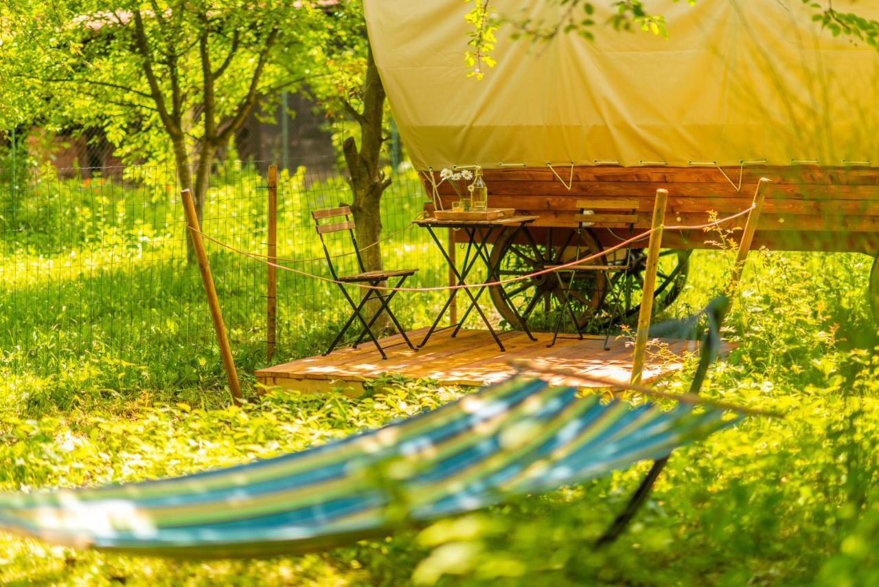 Hotel Dragonfly Gardens Urban Glamping Braszów Zewnętrze zdjęcie