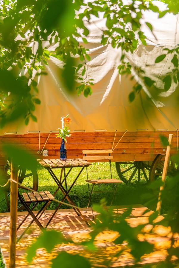 Hotel Dragonfly Gardens Urban Glamping Braszów Zewnętrze zdjęcie
