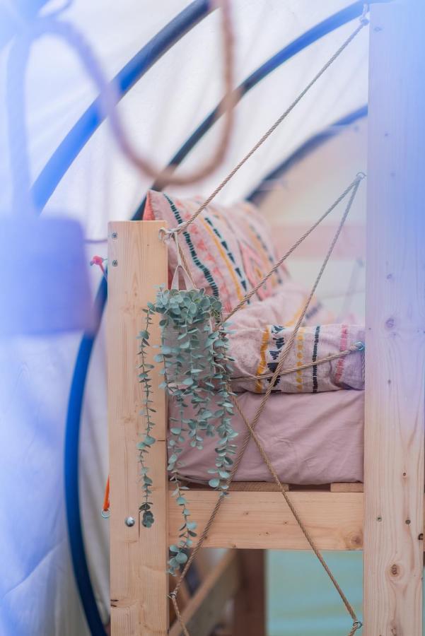Hotel Dragonfly Gardens Urban Glamping Braszów Zewnętrze zdjęcie